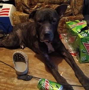 Meet your Posher, Tabitha